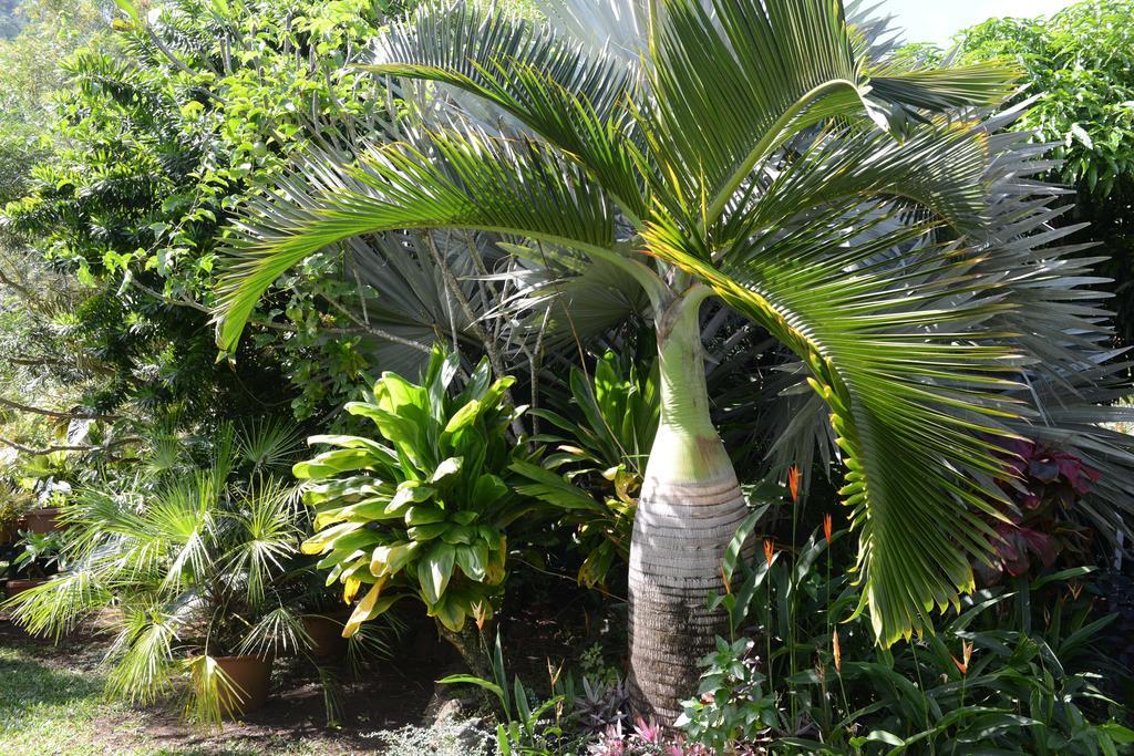 Pension De Famille Hiti Moana Villa Papara Екстер'єр фото